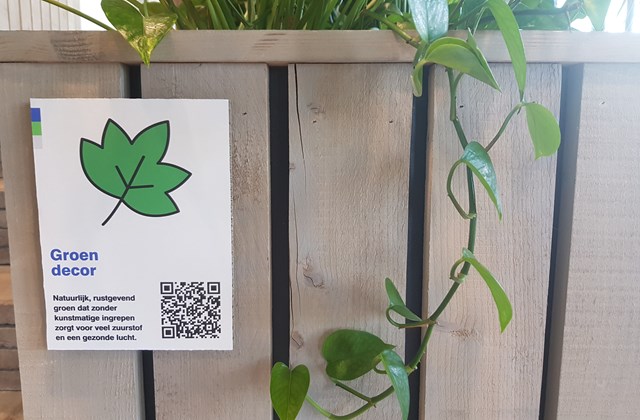 Een audiotour door het Cure kantoorgebouw
