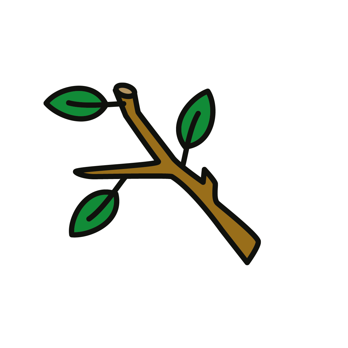 losse iconen_Tak snoeiafval.png