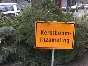 kerstboominzameling 2026