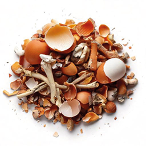 GFT_Botten Schelpem Eierschalen.png